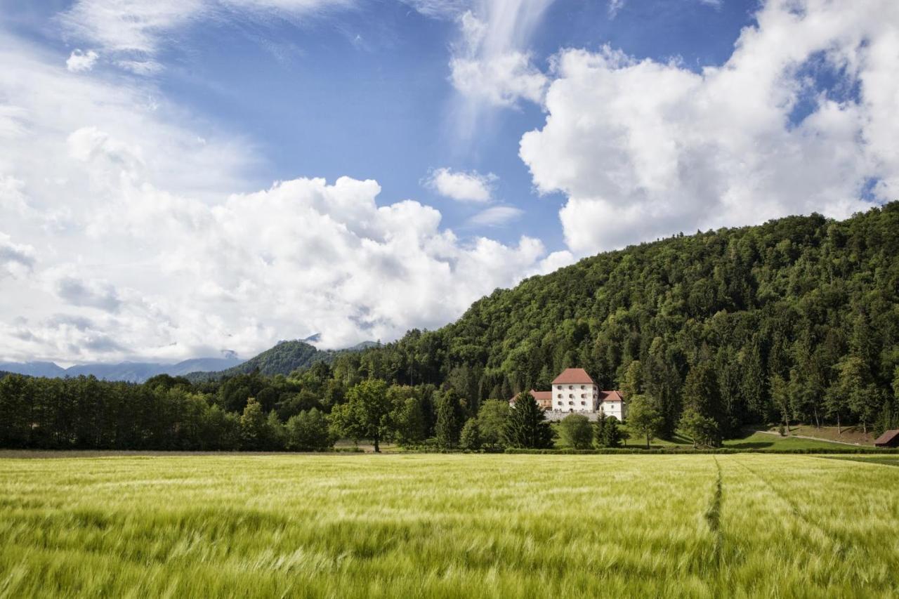 Grad Strmol Villa Cerklje na Gorenjskem Luaran gambar