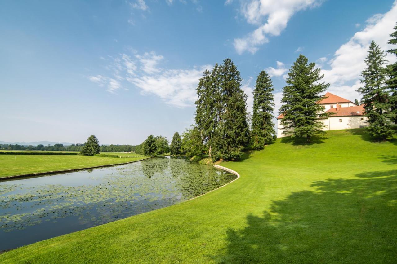 Grad Strmol Villa Cerklje na Gorenjskem Luaran gambar