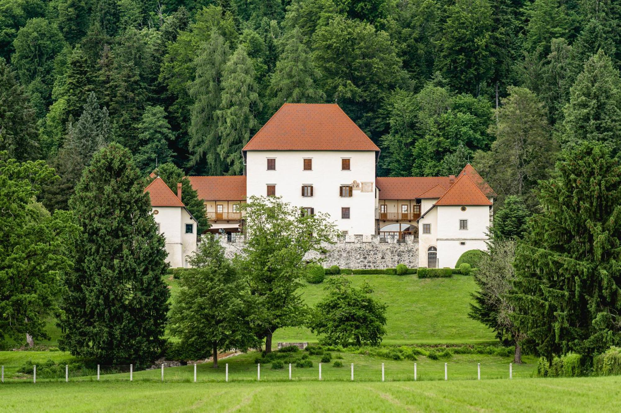 Grad Strmol Villa Cerklje na Gorenjskem Luaran gambar