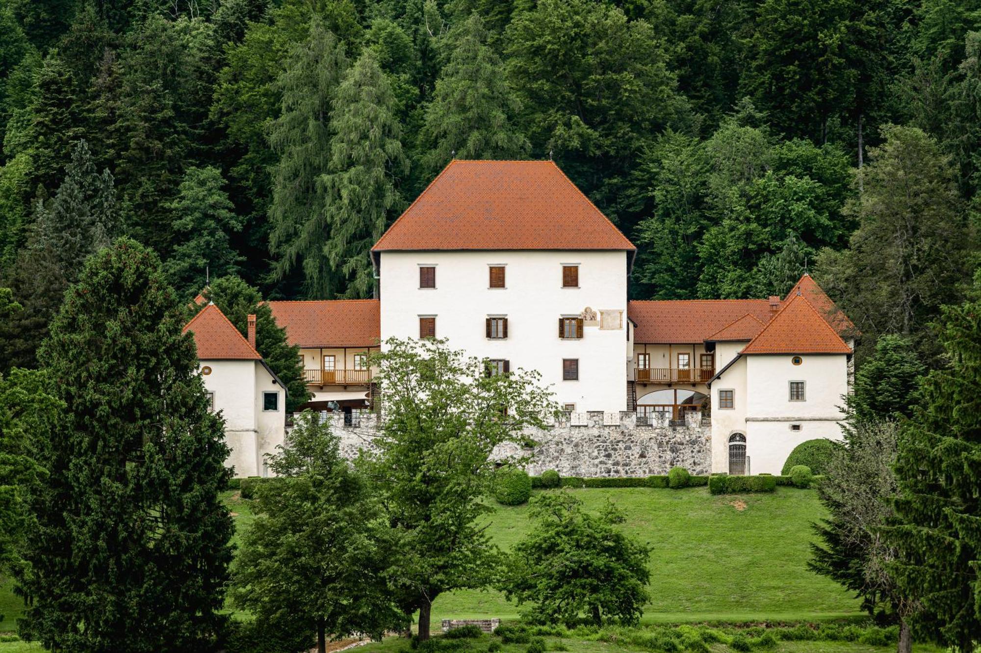 Grad Strmol Villa Cerklje na Gorenjskem Luaran gambar
